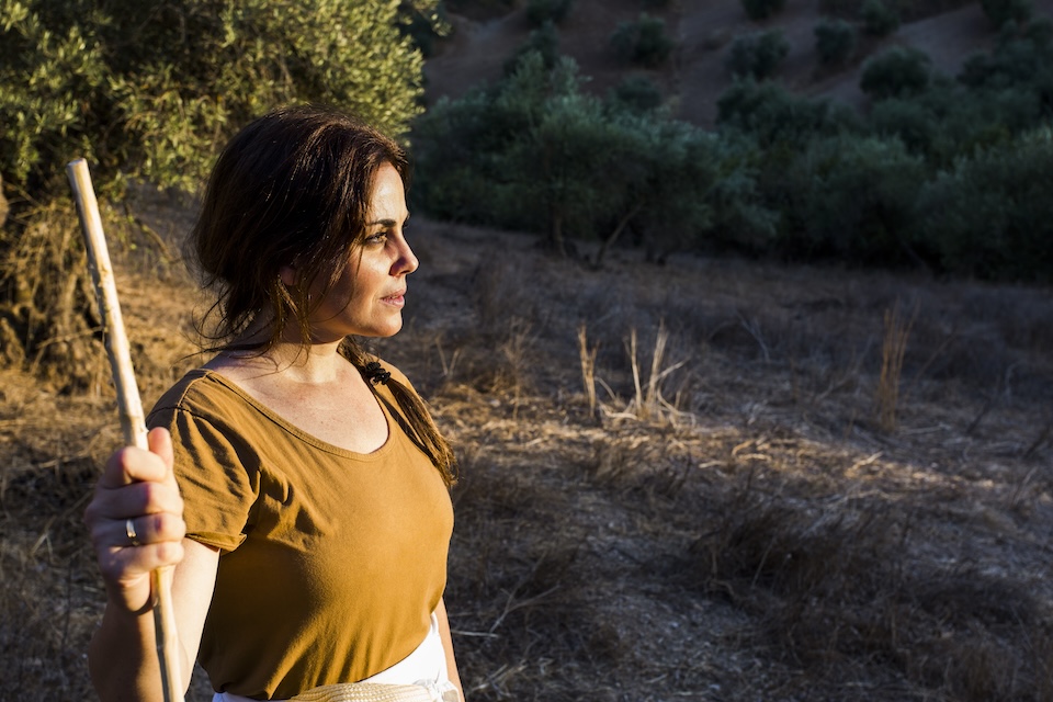 what to expect from addiction treatment at wolf creek recovery in cordes lakes az