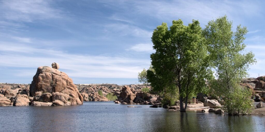 Arizona Drug Rehabs: Why the State Has Become a Hub for Effective Addiction Treatment